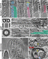 Fig. 7