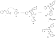 Scheme 7