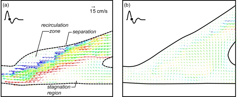 Fig 5