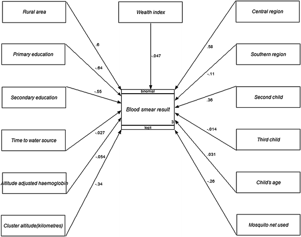 Figure 1