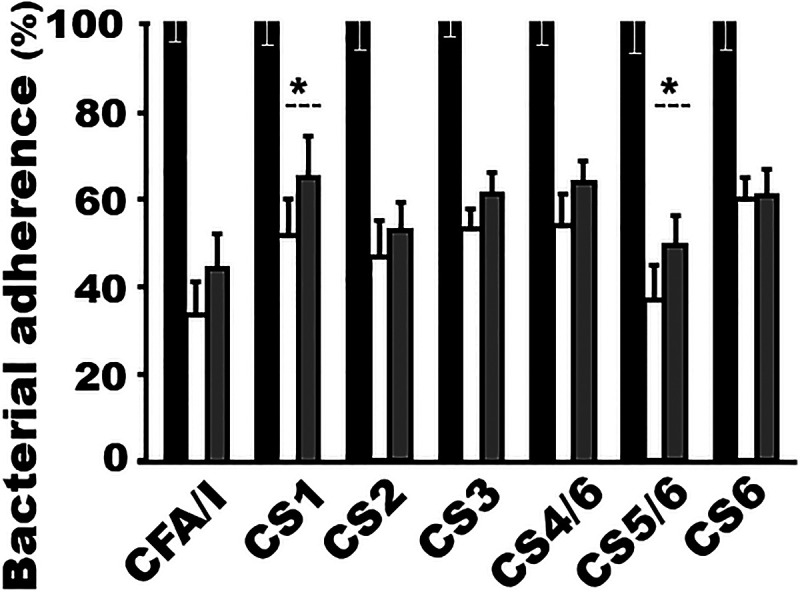 FIG 5