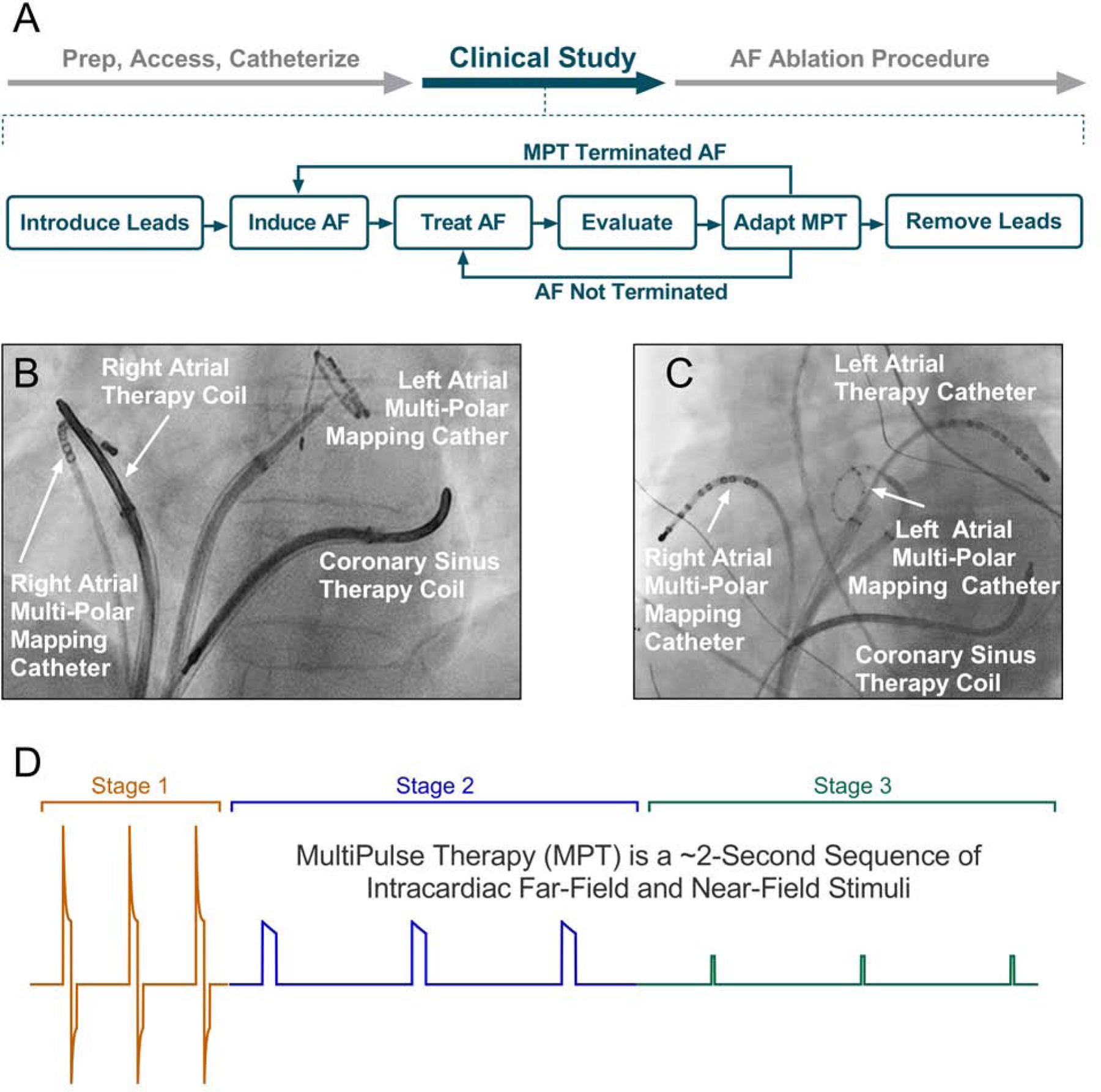 Figure 1: