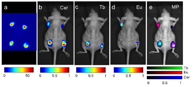 Fig. 4