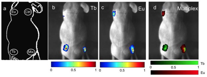 Fig. 3