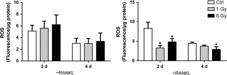 Fig. 8.