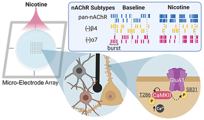 graphic file with name nihms-1063152-f0008.jpg