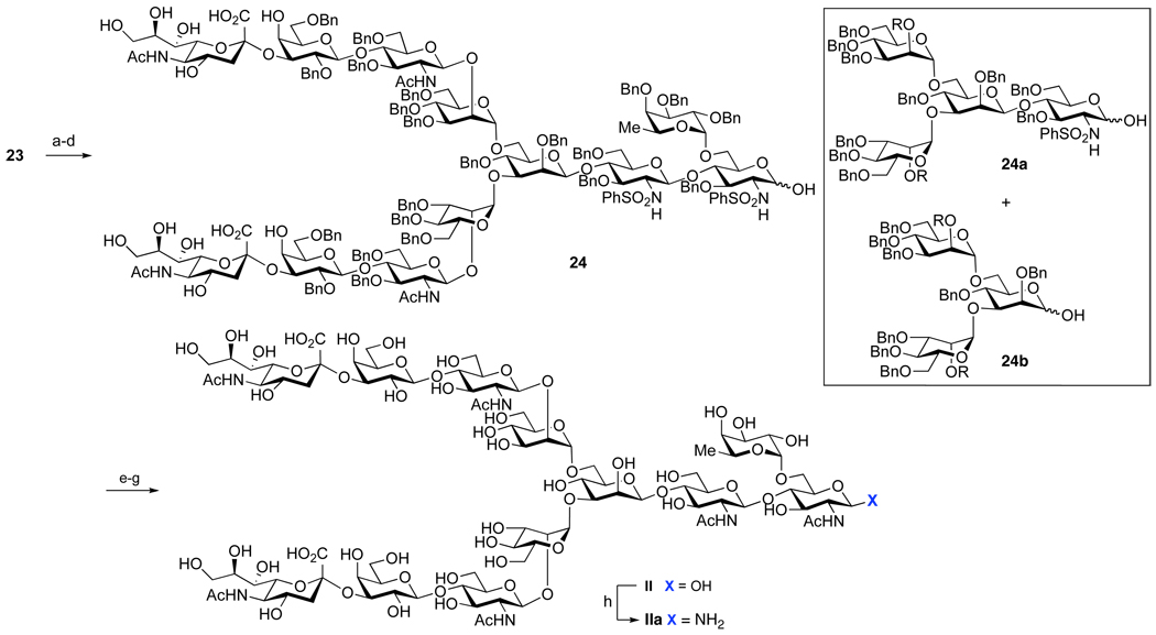 Scheme 6