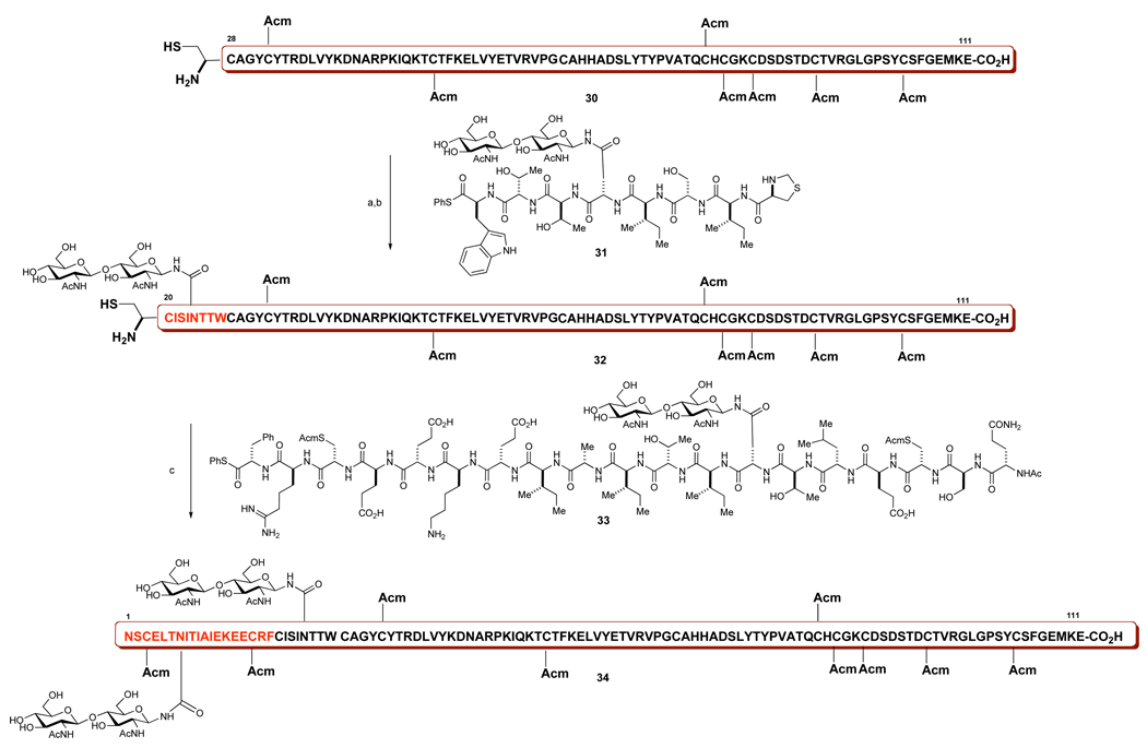 Scheme 8