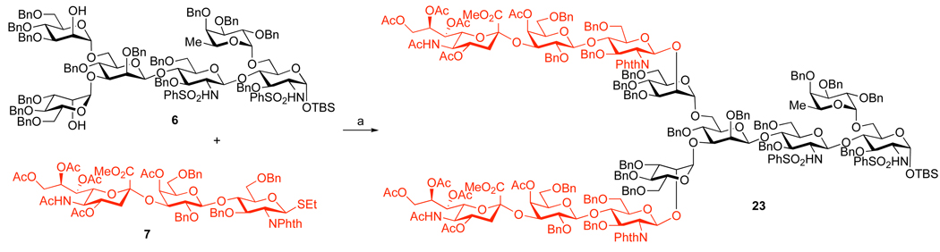 Scheme 5