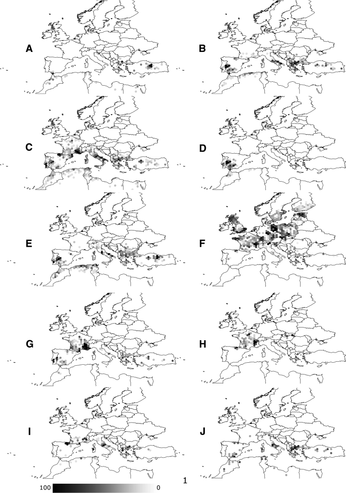 Fig. 1