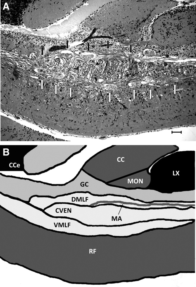 FIG. 6.