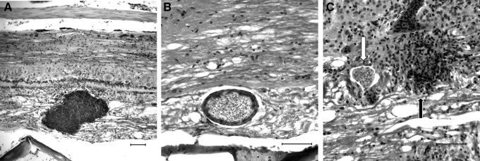 FIG. 8.