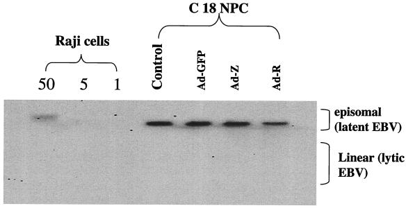 FIG. 5.