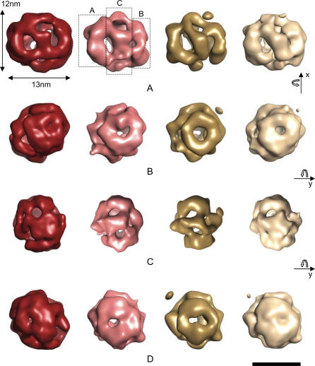 Figure 5