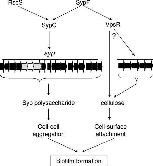 FIG. 8.