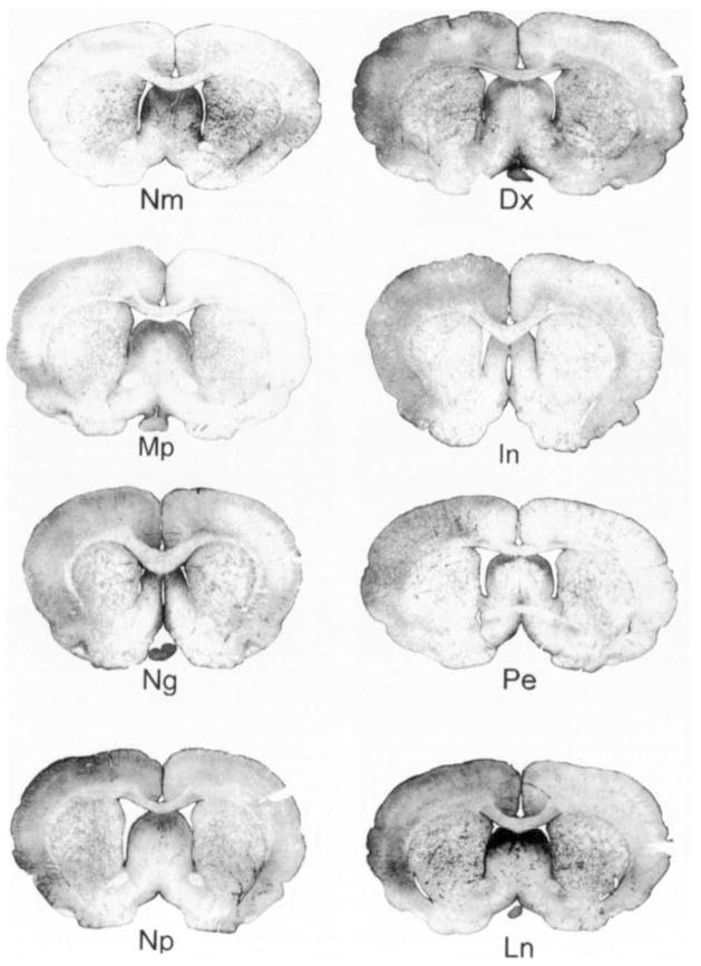 Fig. 9