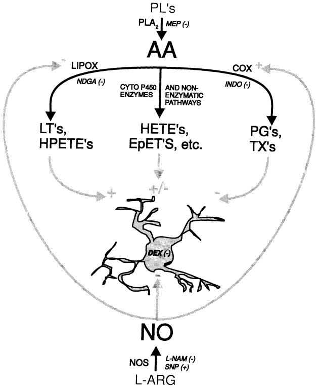 Fig. 12