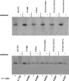 FIG. 7.