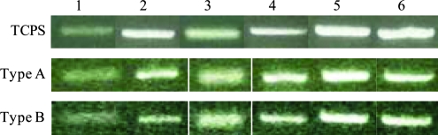 FIG. 7.