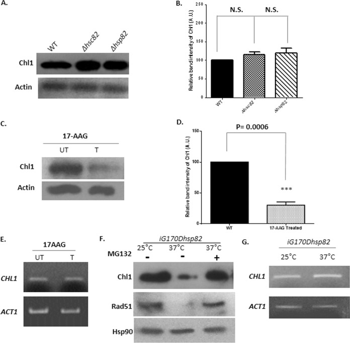 FIG 1 