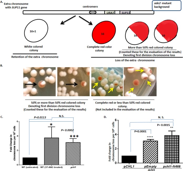 FIG 3 