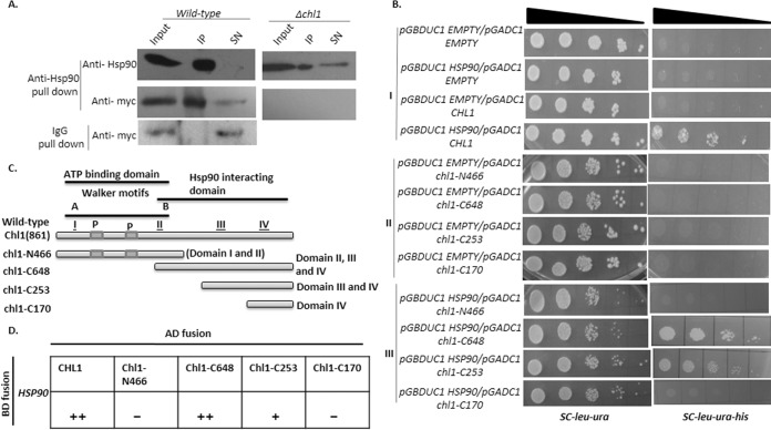 FIG 2 