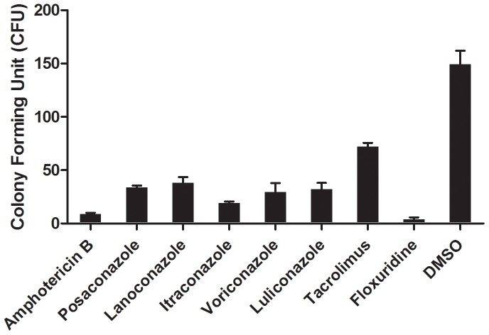 Figure 6