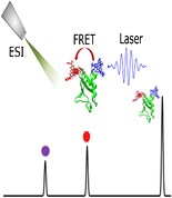 Graphical Abstract