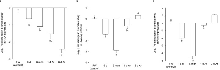 Fig 6