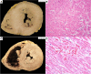 Fig. 2