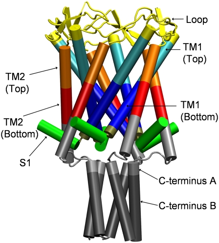 FIGURE 1