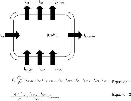 Fig. 1.