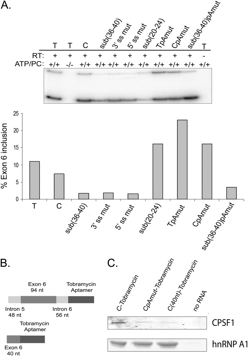 FIGURE 6.