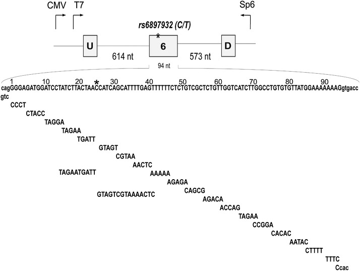 FIGURE 1.