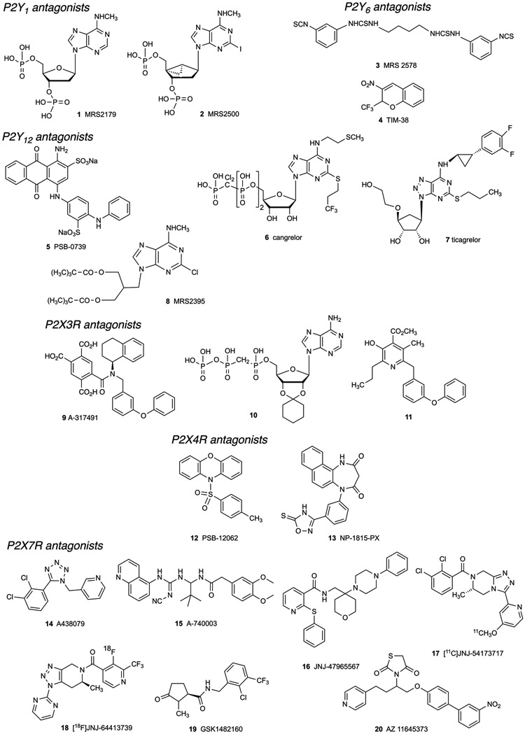 Figure 2.