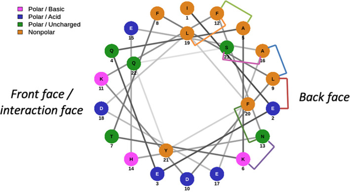 FIGURE 2