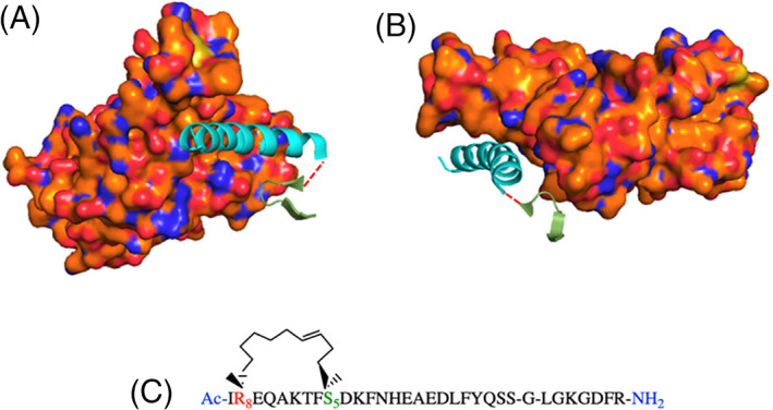 FIGURE 7