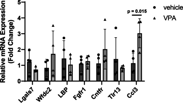 Fig. 5