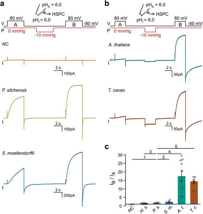 Fig. 4