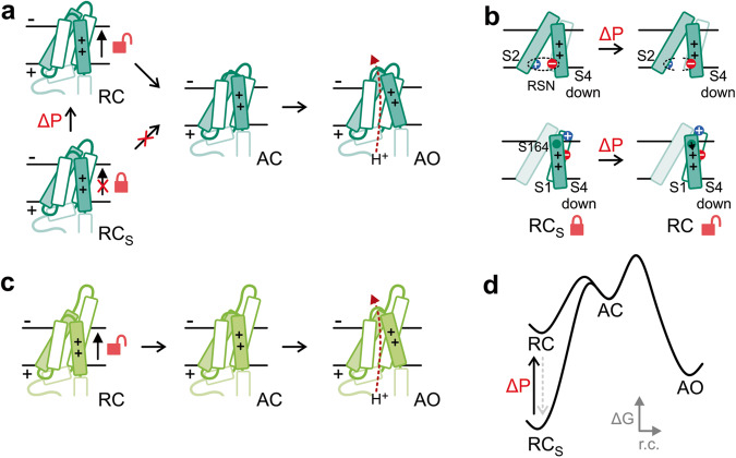 Fig. 8