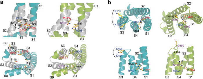 Fig. 6