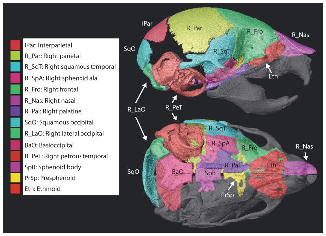 Fig. 4