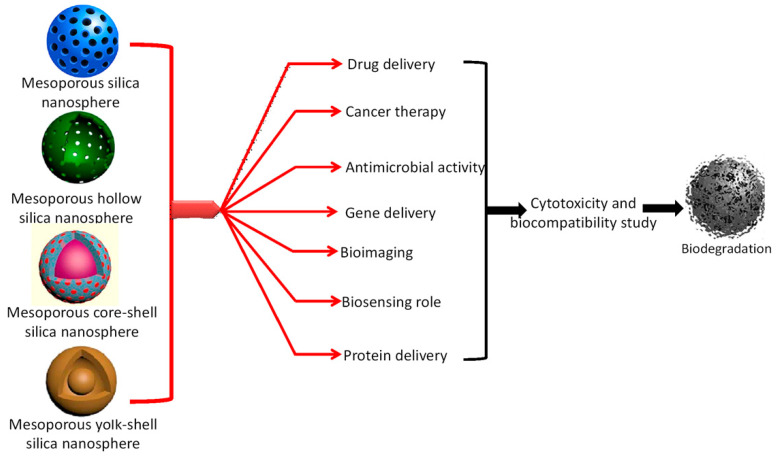 Figure 12