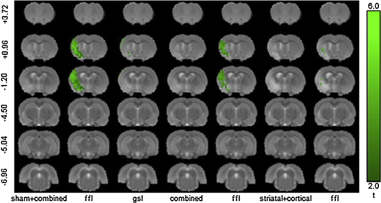 Fig. 6