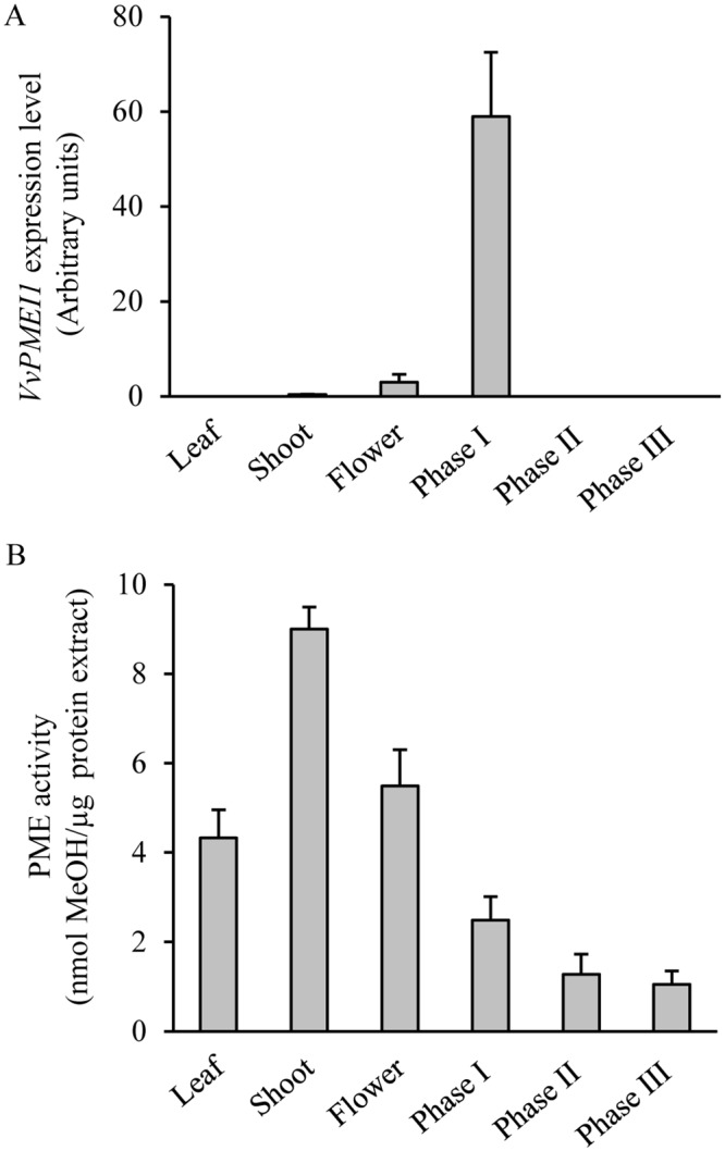 Fig 7