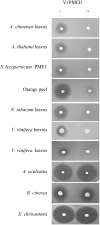 Fig 4