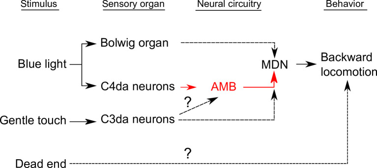 Fig 13