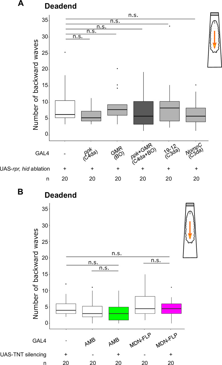 Fig 12