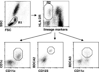 FIG. 1.