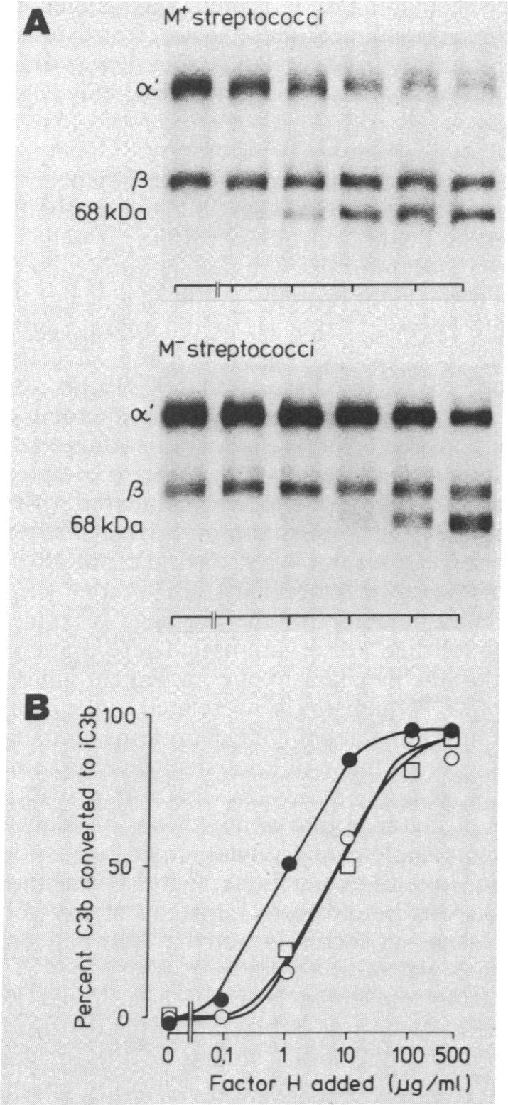 graphic file with name pnas00257-0340-a.jpg